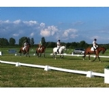4-tal Renate's Boys